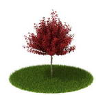 Download FREE 3D Models of foreign plants 5-5