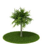 Download FREE 3D Models of foreign plants 7-5