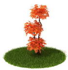 Download FREE 3D Models of foreign plants 10-5