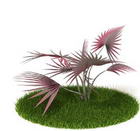 Download FREE 3D Models of foreign plants 11-5
