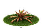 Download FREE 3D Models of foreign plants 12-5