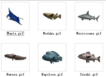 animals/fish  3-6