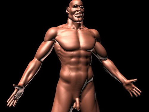 Download FREE 3D Models!