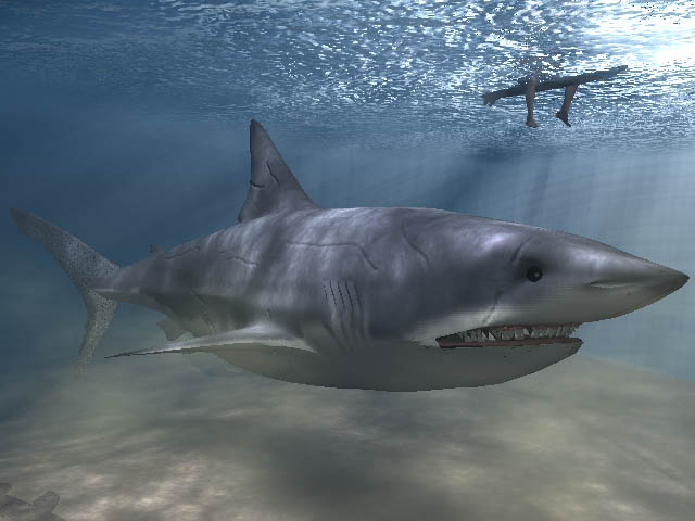 Download FREE 3D Models!