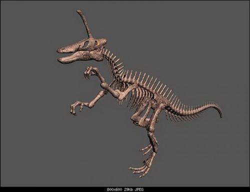 The Skeleton of Dinosaur 3ds Max Models Download Free