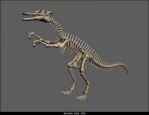 The Skeleton of Dinosaur 3ds Max Models Download Free
