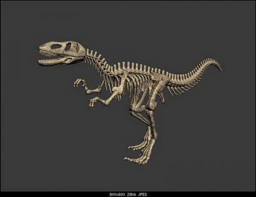 The Skeleton of Dinosaur 3ds Max Models Download Free
