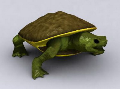 Aminal ModelTortoise 3Ds Max Model