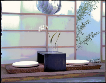 3D Models