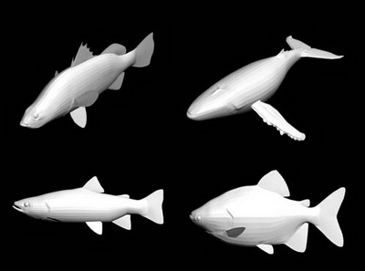 3D Models