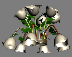 3D Models