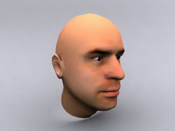 3D Models