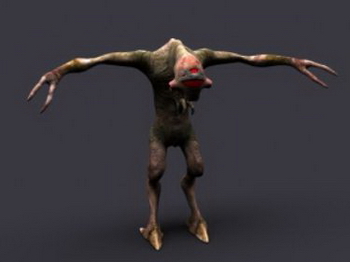 3D Models