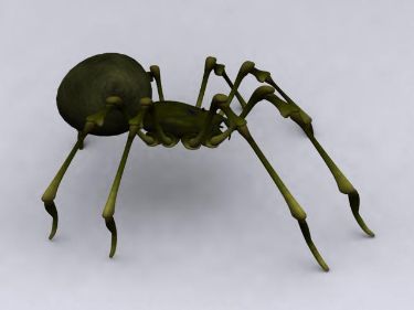 3D Models