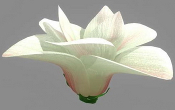 flower 3D Models