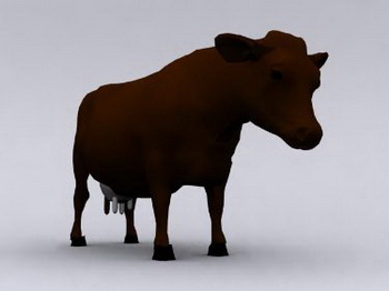 3D Models