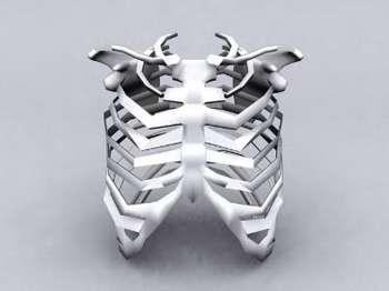 3D Models
