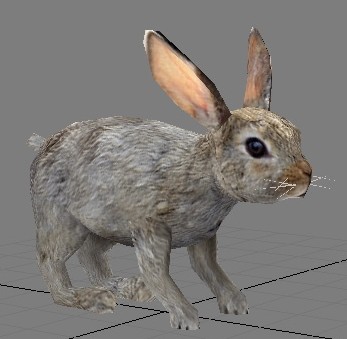 3D Models