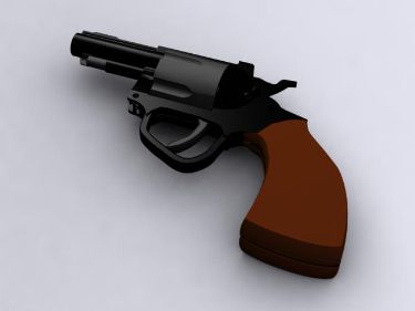 3D Models