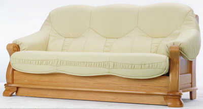 Sofa 3D Model of old people