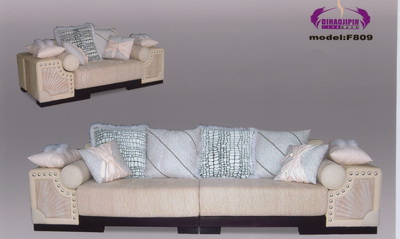 Beautiful home sofa