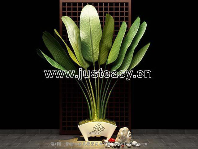 Potted plants - Canna 3D model (including materials)