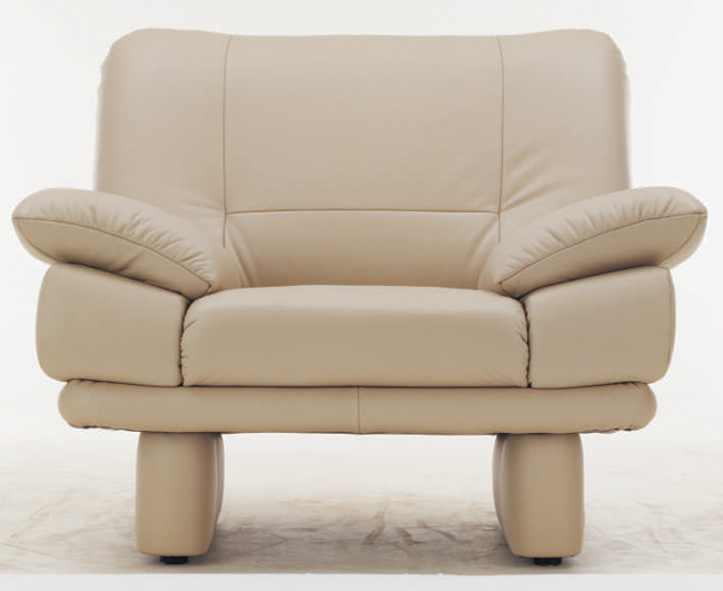 Soft coriaceous single person sofa
