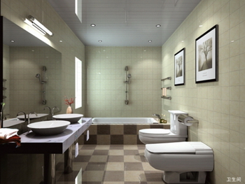 Fashion model simple bathroom