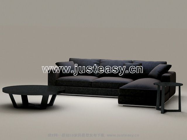 Classic combination of black sofa