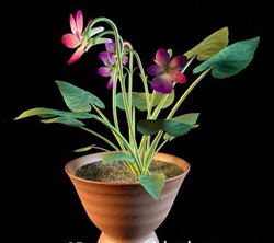The flower pot