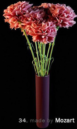 The flower pot