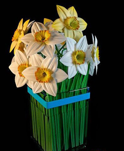 The potted plant - glass vase of chrysanthemums
