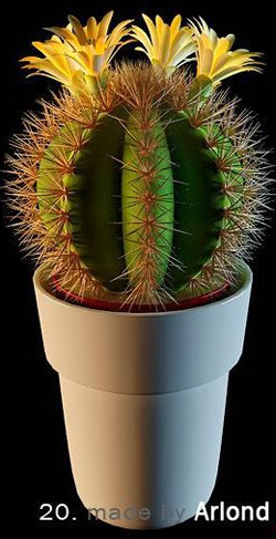 The potted plants - cactus ball