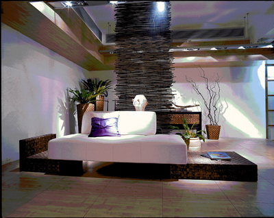 Wooden base cushion sofa