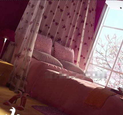 Pink peach blossom bright bedroom