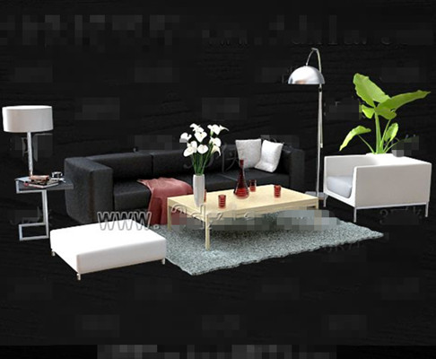 Black and white simple and stylish sofa combination