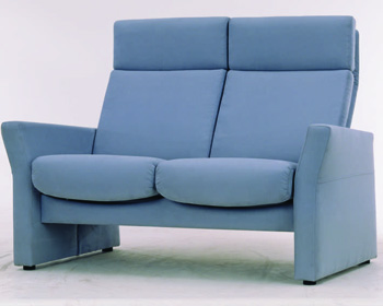Modern dark gray double high back sofa