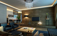 Modern dark business living room