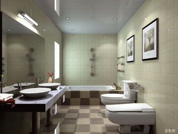 The fashion minimalist bathroom model