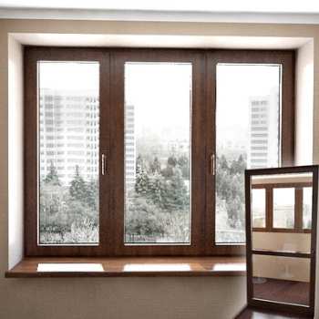 Windows 3D model
