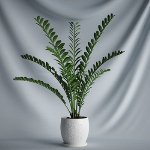 3d model of indoor potted