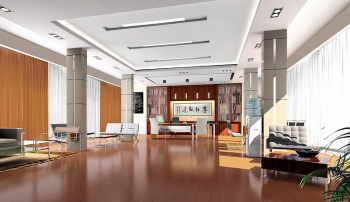 Bright and spacious meeting rooms