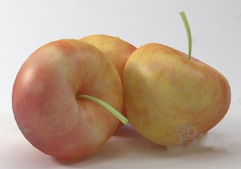Fuji apple model