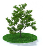 Modern tree models