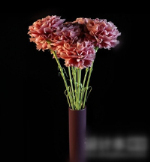 Red flowers jewelry 3d model