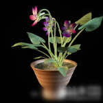 Indoor bonsai 3d model