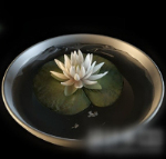 Potted flowers 3d model
