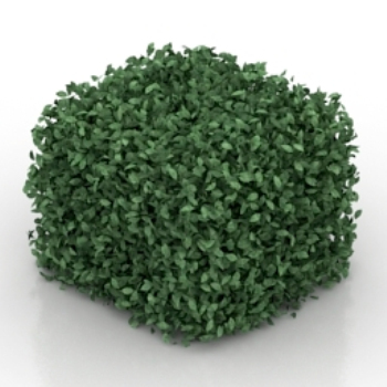square leaves model