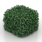 square leaves model