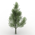 Green trees 3d model
